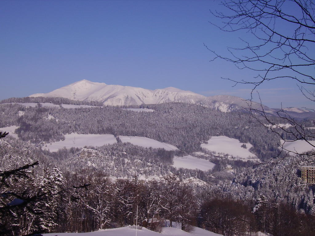 Villa Daheim 塞默灵 外观 照片